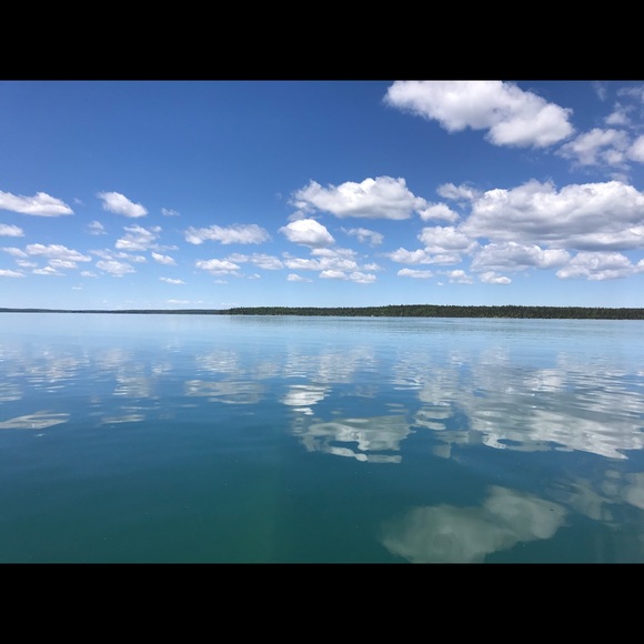 Meet your Posher, Renel - Picture 1 of 1